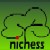 Nichess