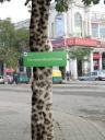 wwf-tree.JPG